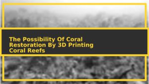 featuredimage 3d reefs