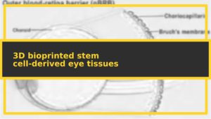 featuredimage stem eyes