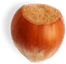 nut